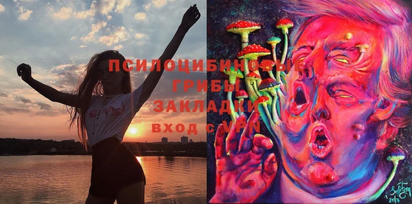 ешки Алексеевка