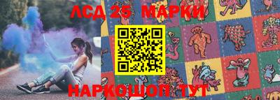 крисы Новодвинск