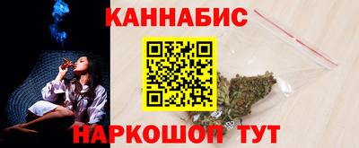 крисы Новодвинск