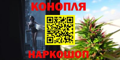 хмурый Новозыбков