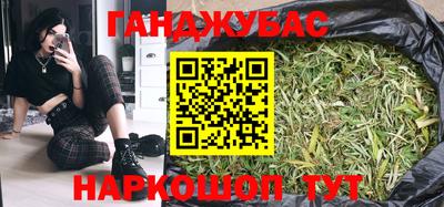 крисы Новодвинск