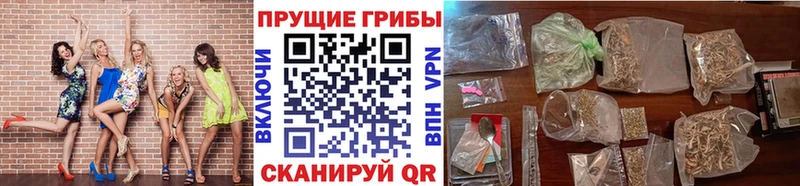 блэк спрут ТОР  Выкса  Галлюциногенные грибы Psilocybe 