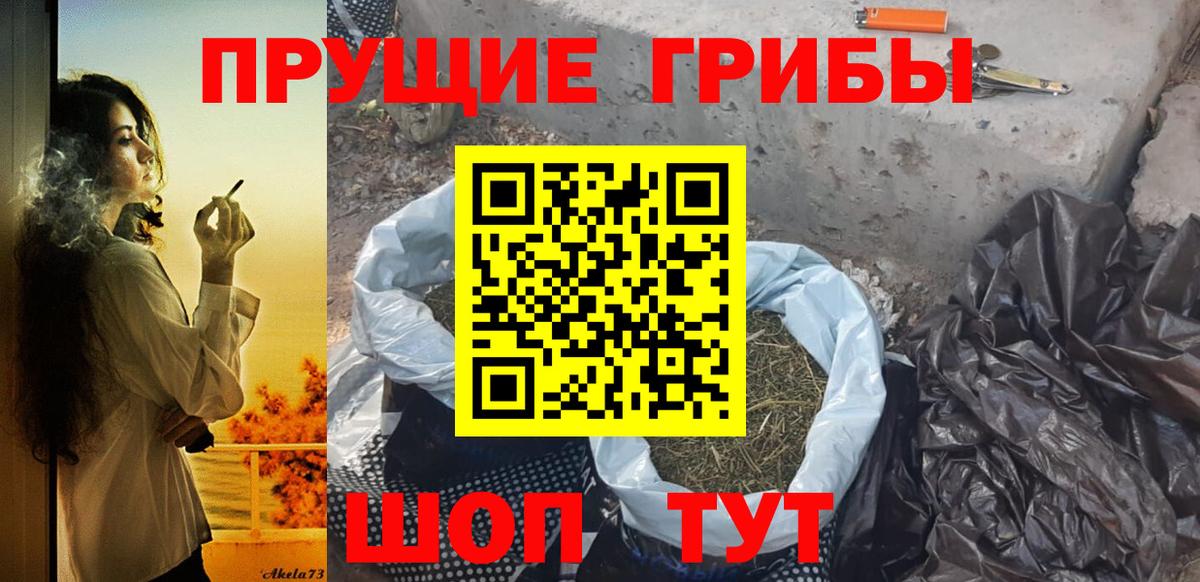 Галлюциногенные грибы Psilocybe  Вход с VPN  даркнет сайт  Выкса 