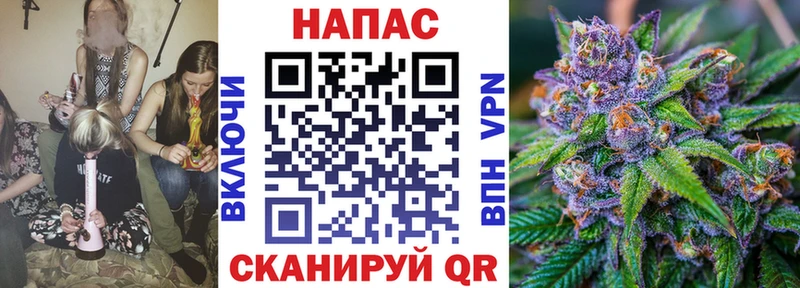 mega ссылки  Выкса  Бошки марихуана OG Kush 